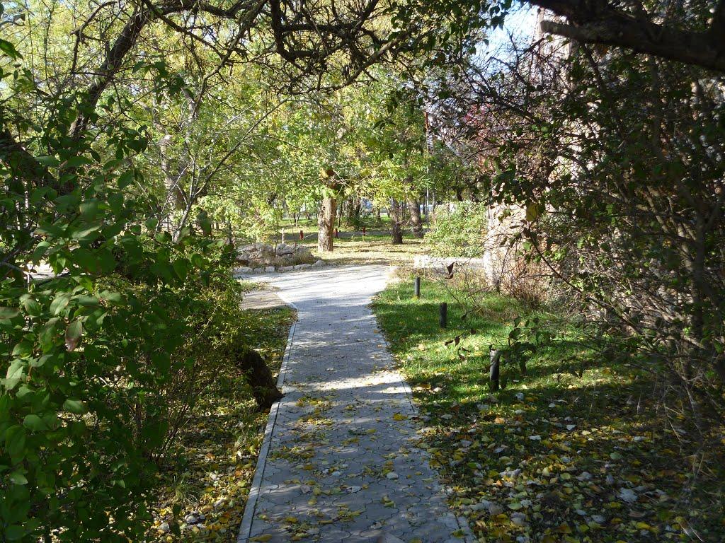 Новосільське з panoramio.com - Новосільське