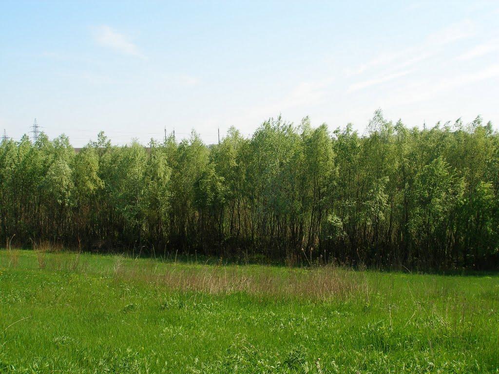 Дніпродзержинськ з panoramio.com (ч.4) - Дніпродзержинськ