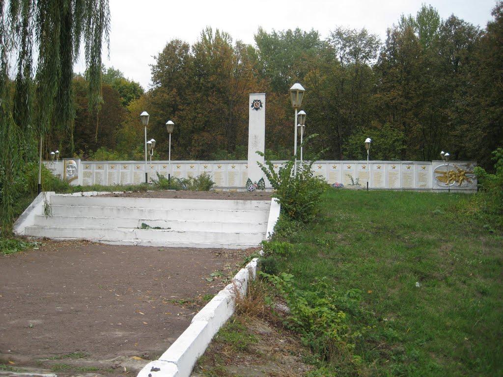 Малий Самбір з panoramio.com - Малий Самбір