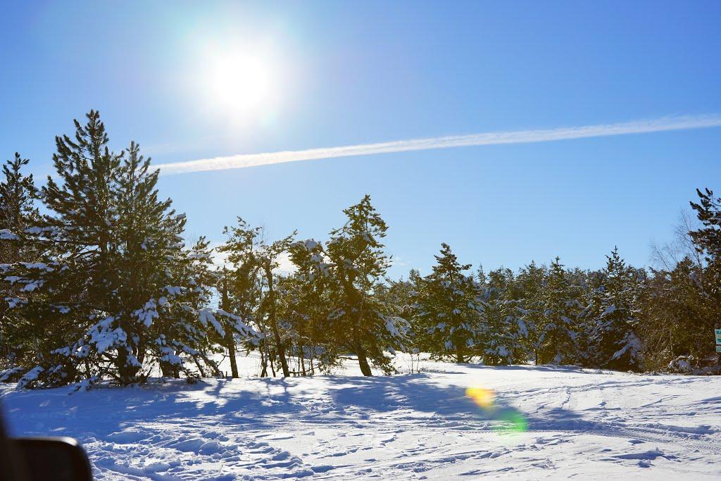 Охотниче з panoramio.com (ч.3) - Okhotnyche