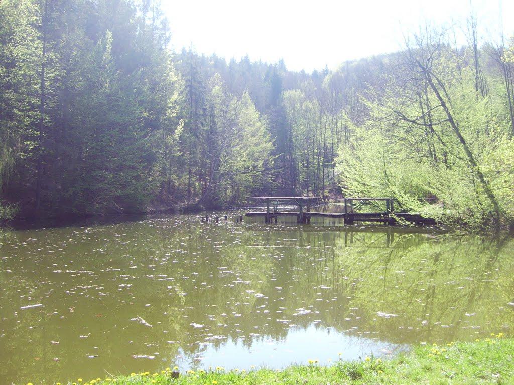 Стройне з panoramio.com - Стройне