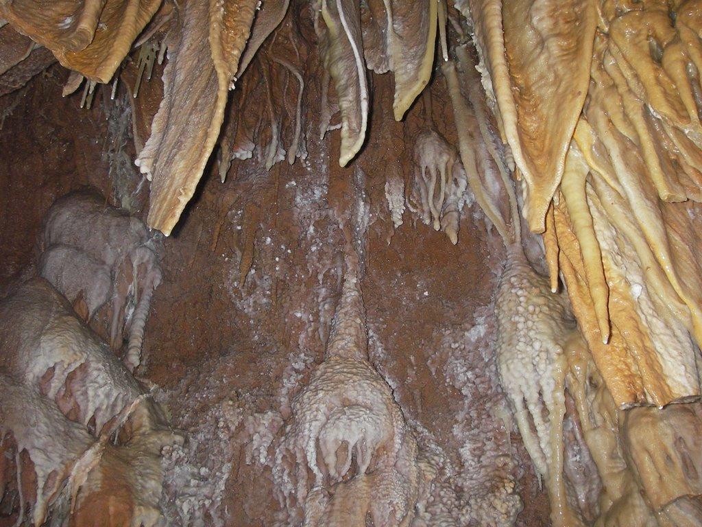 Генеральське з panoramio.com (ч.3) - Генеральское