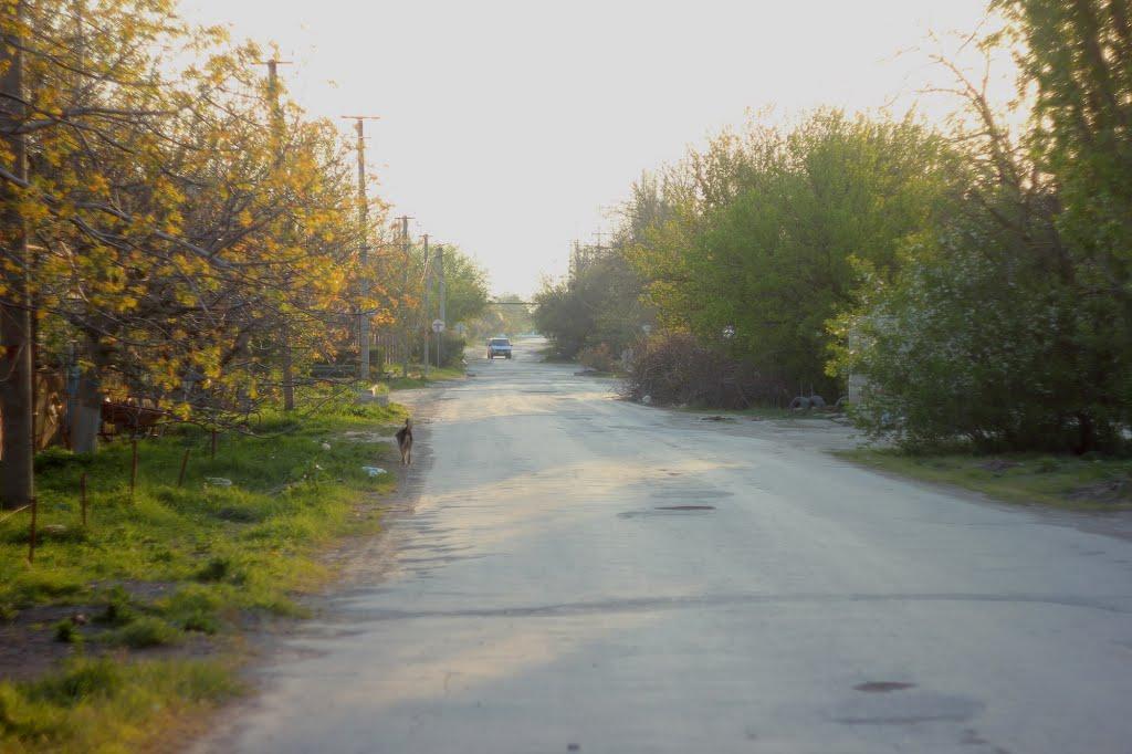 Роздольне з panoramio.com - Роздольне