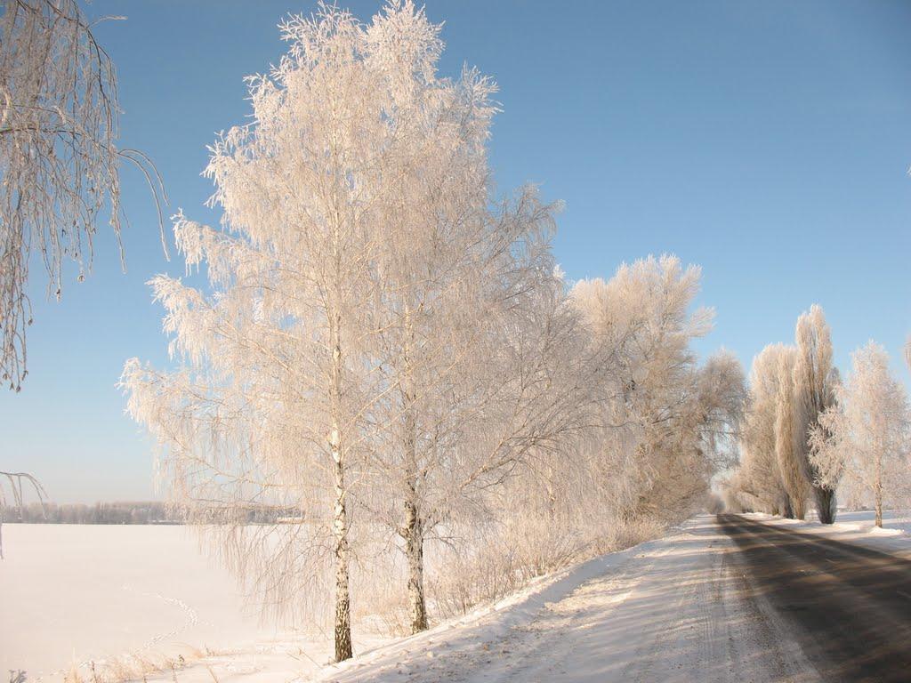 Обухів з panoramio.com - Obukhov