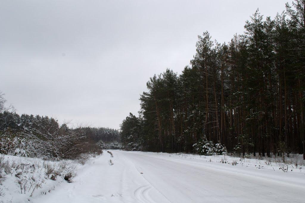 Добренька з panoramio.com - Добренька