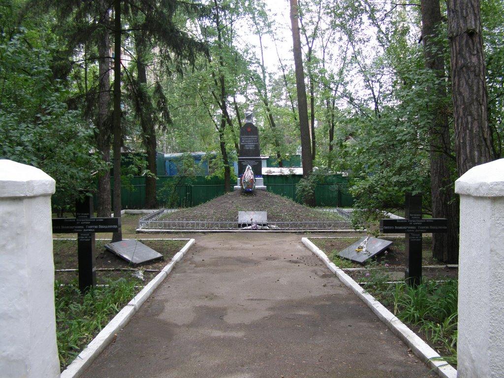 Гнідин з panoramio.com (ч.3) - Gnidyn