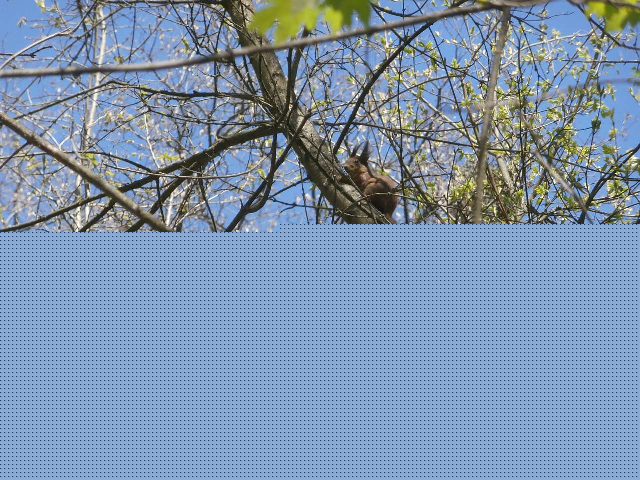 Почаїв з panoramio.com - Почаев