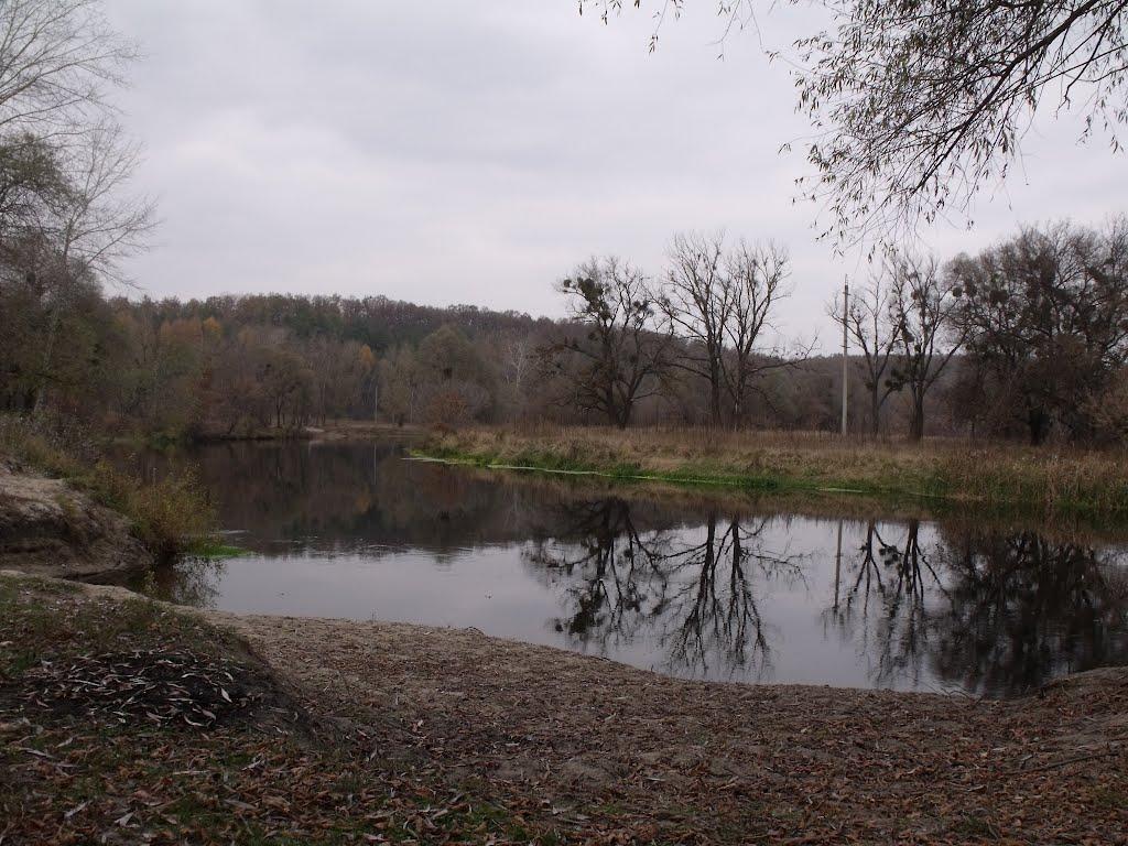 Задонецьке з panoramio.com - Задонецьке