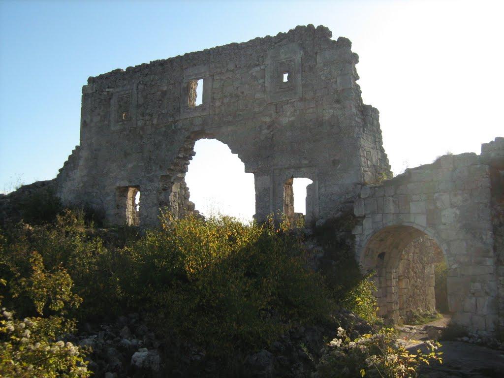Залісне з panoramio.com (ч.2) - Залісне