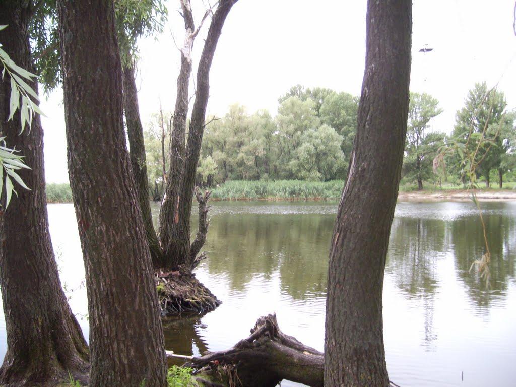 Чехівка з panoramio.com - Чехівка