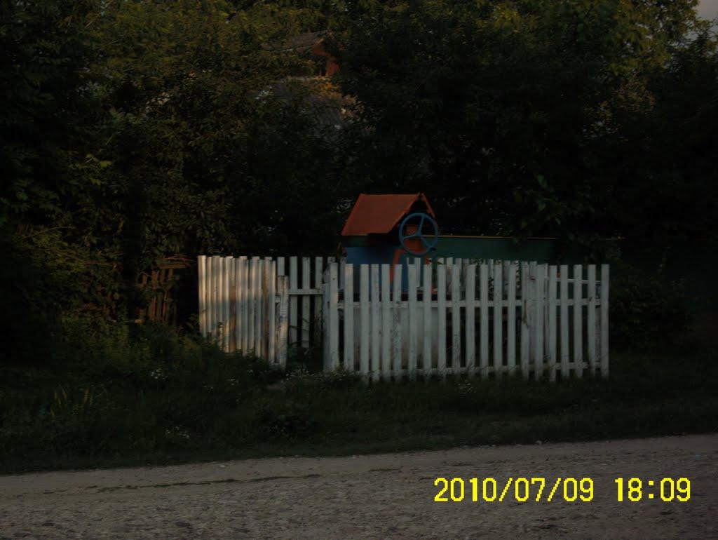 Заболотне з panoramio.com - Заболотне