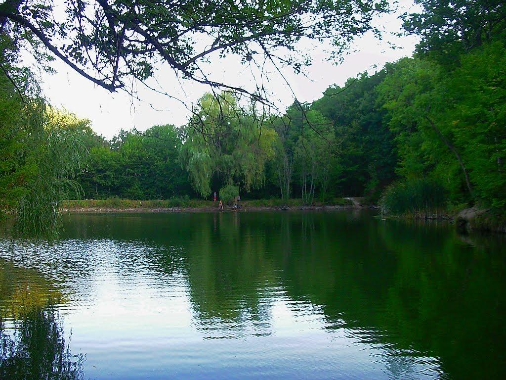 Научний з panoramio.com - Научний
