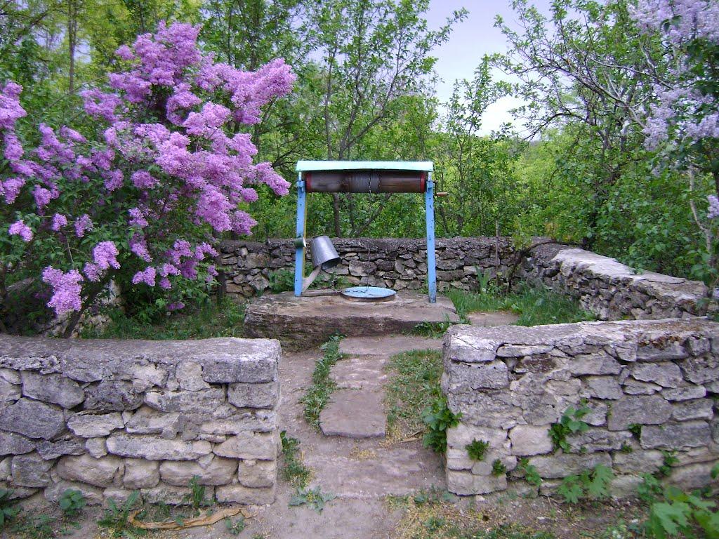 Довжок з panoramio.com - Довжок