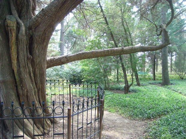 Нікіта з panoramio.com (ч.2) - Никита