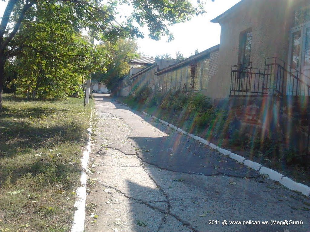 Миколаївка з panoramio.com (ч.2) - Николаевка