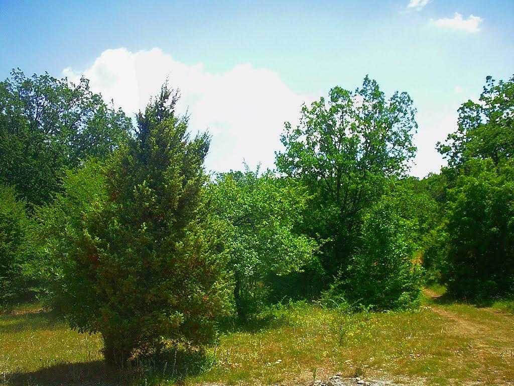 Тернівка з panoramio.com (ч.3) - Тернівка