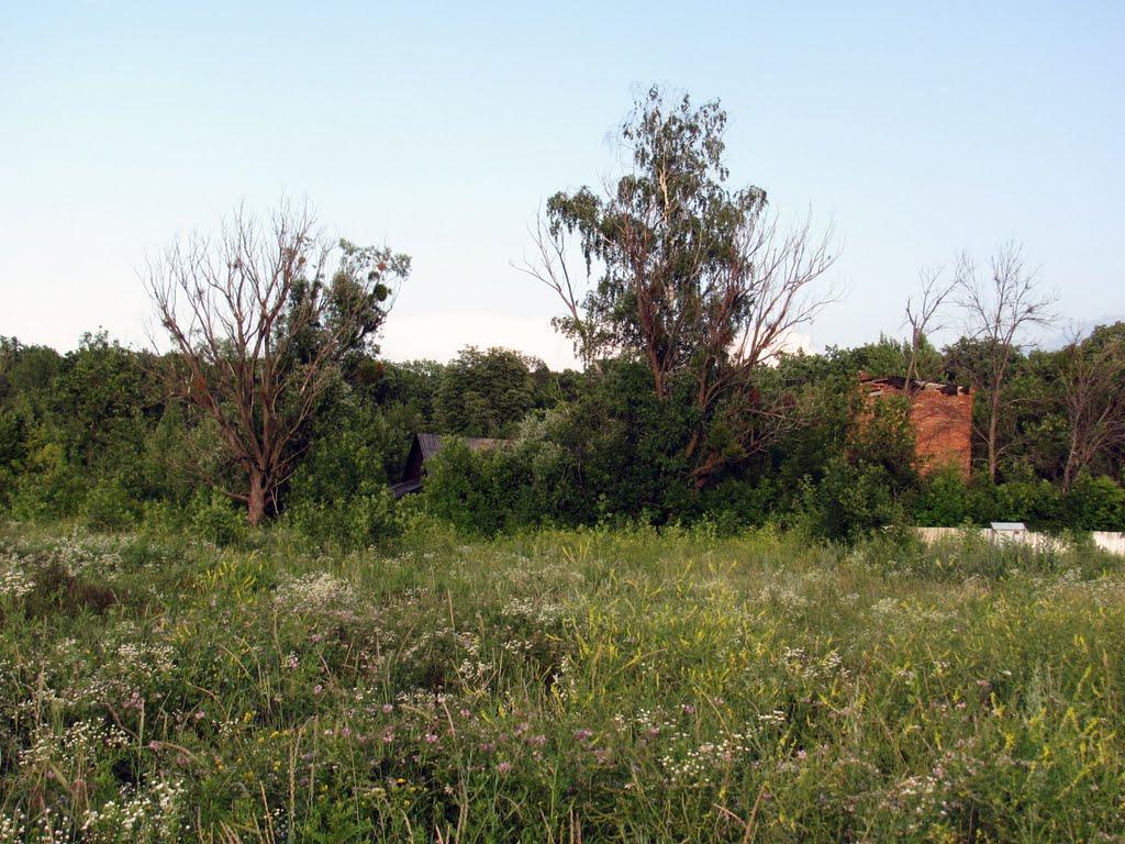 Хорошеве з panoramio.com - Хорошево