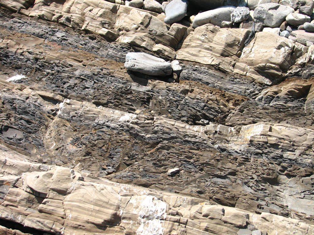 Рибаче з panoramio.com (ч.2) - Рибаче