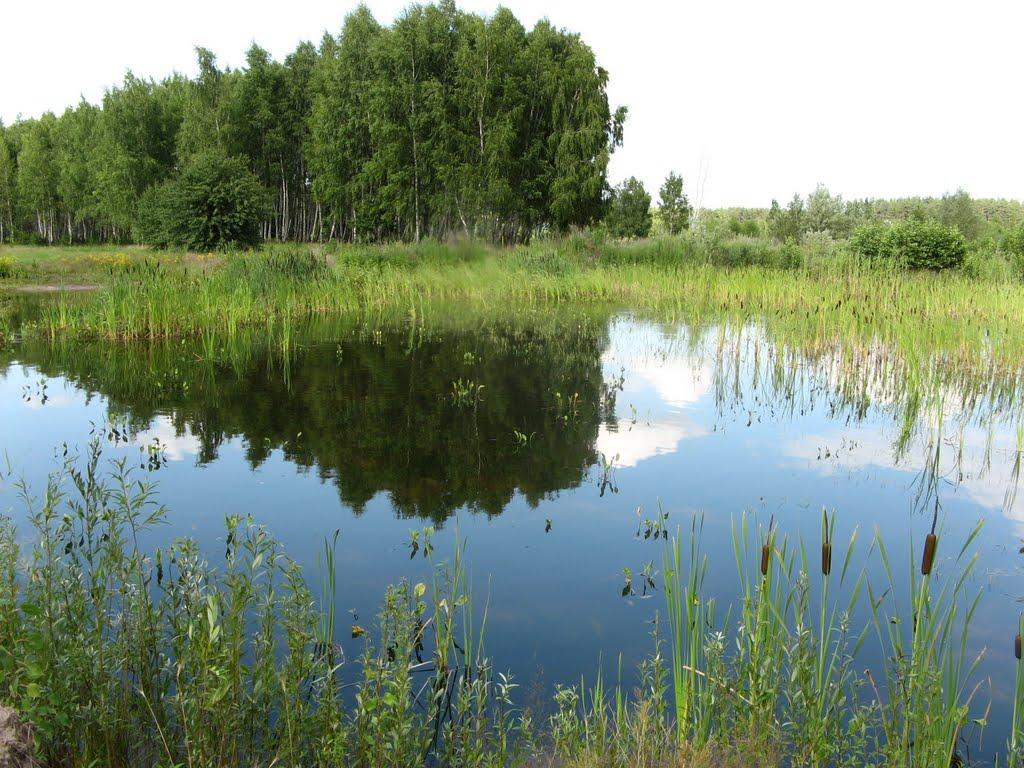 Добренька з panoramio.com - Добренька