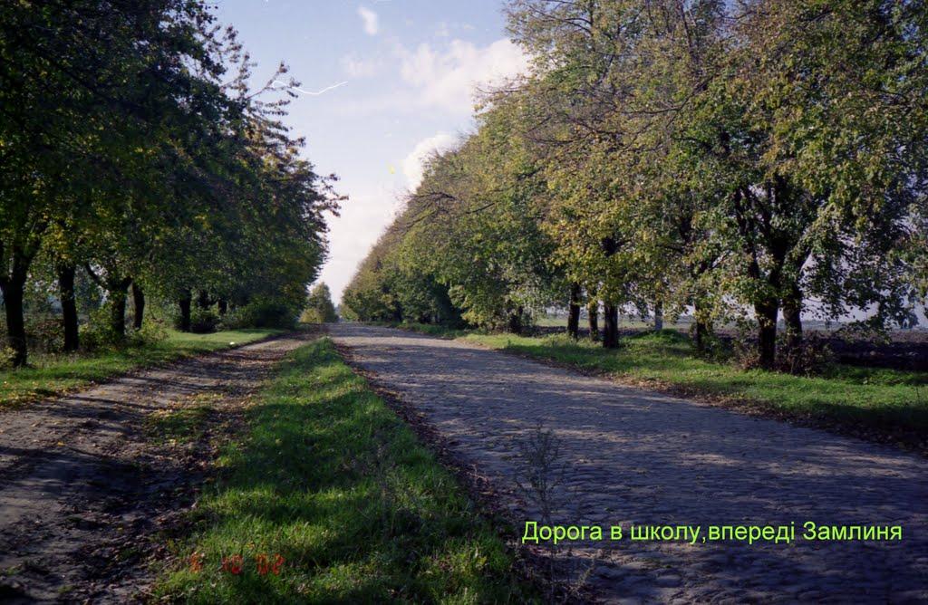 Шпиківка з panoramio.com - Шпиківка