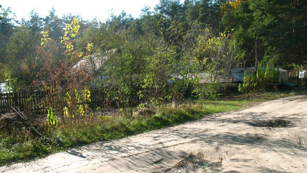 Коцюбинське з panoramio.com (ч.3) - Коцюбинское