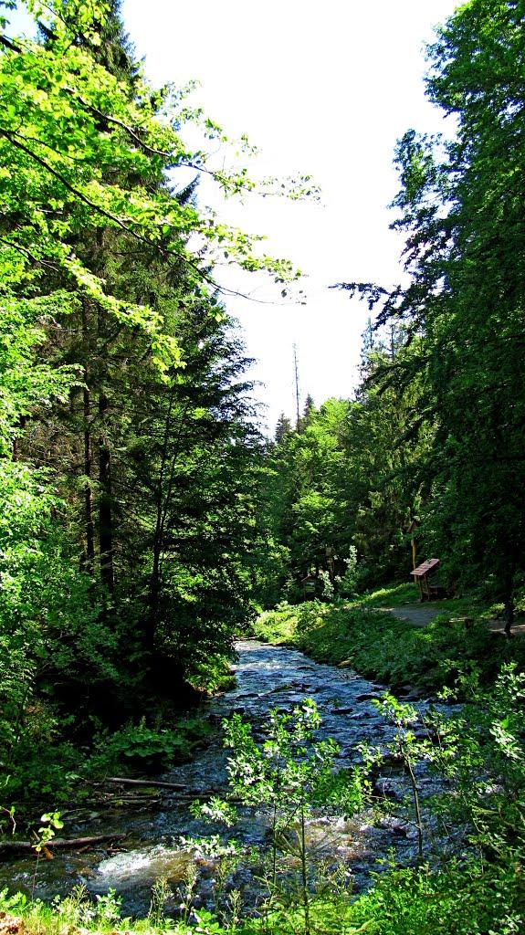 Пилипець з panoramio.com - Пилипець