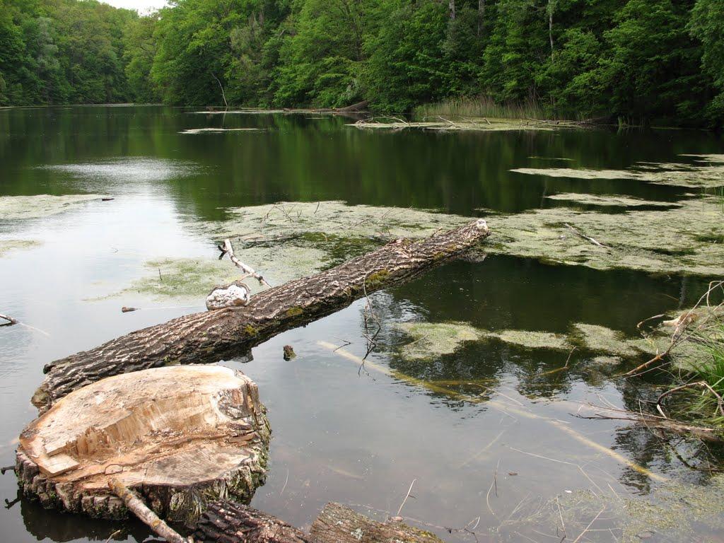 Шарівка з panoramio.com - Шарівка