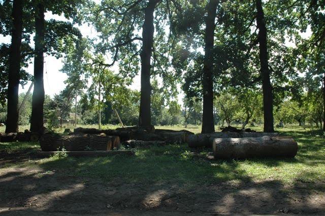 Виноградівка з panoramio.com - Виноградівка