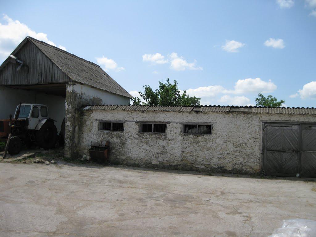 Лісне з panoramio.com - Лісне