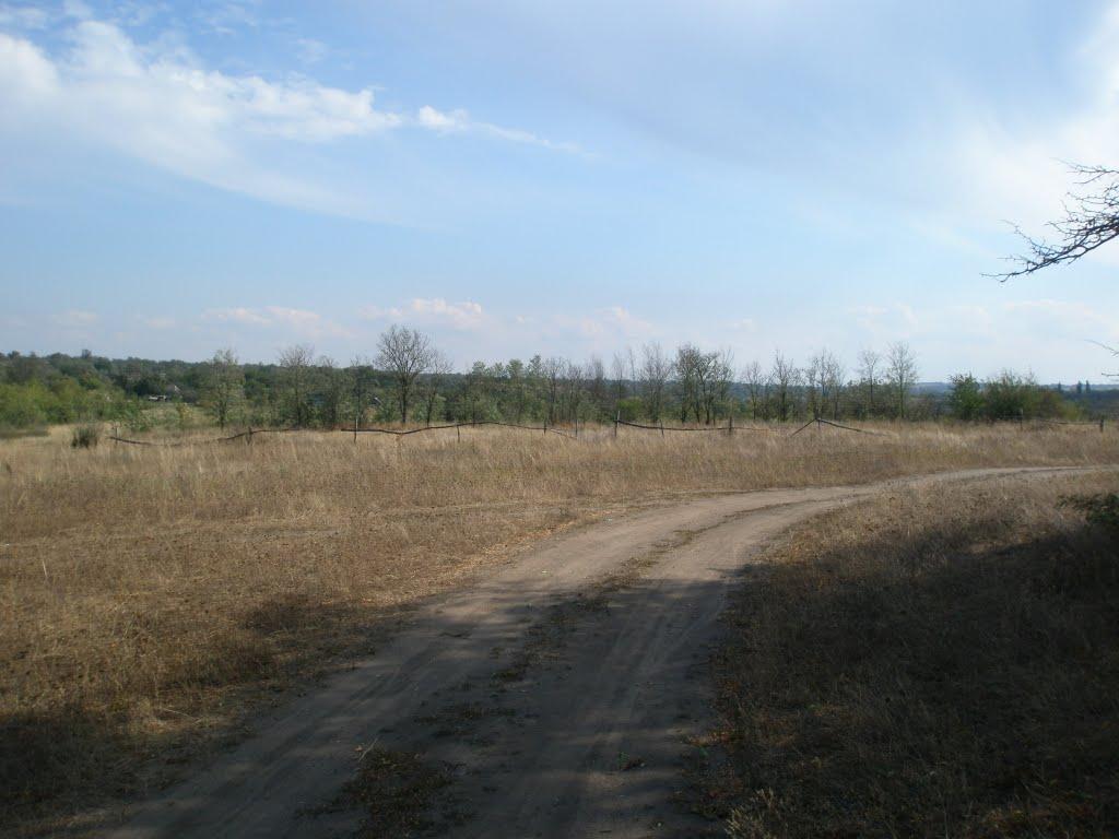 Синюхин Брід з panoramio.com - Синюхин Брод