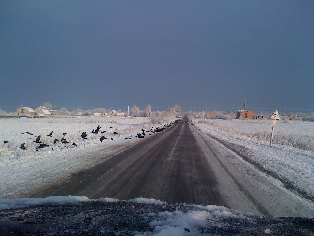 Андрушки з panoramio.com - Андрушки