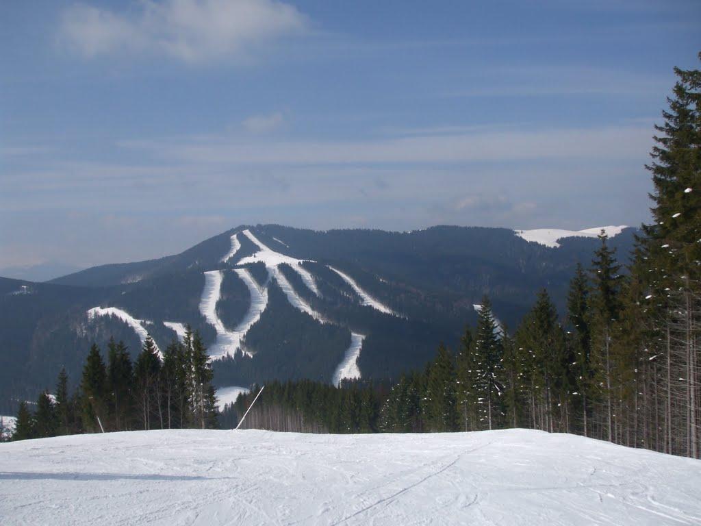 Паляниця з panoramio.com (ч.4) - Palyanytsya