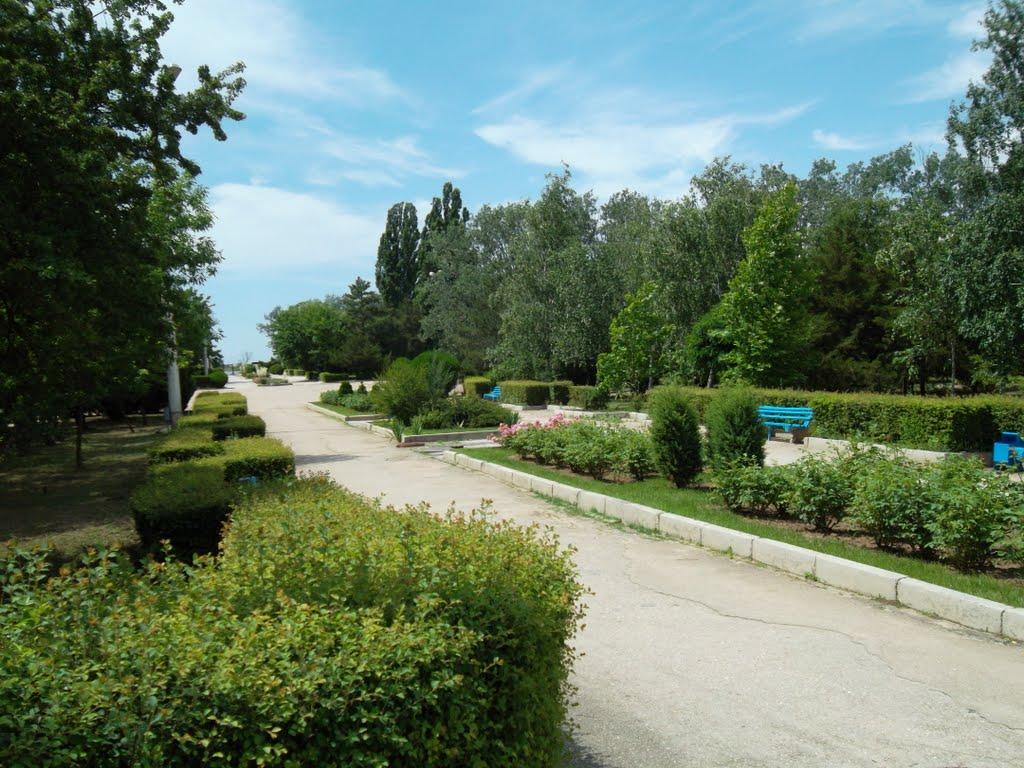 Заозерне з panoramio.com - Заозерне