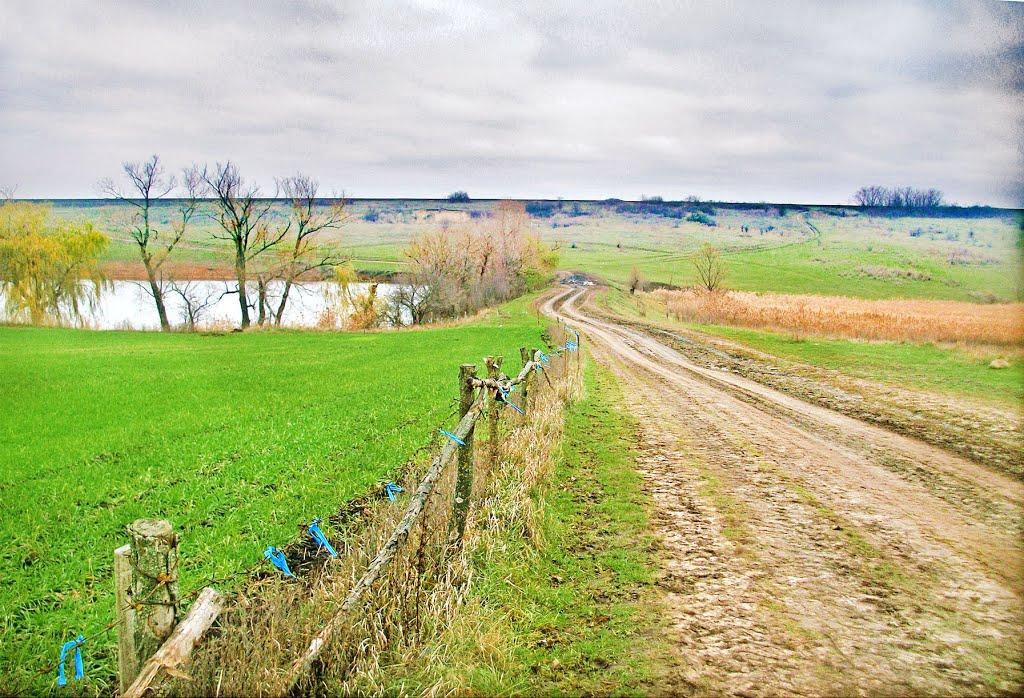 Тернова Балка з panoramio.com - Терновая Балка