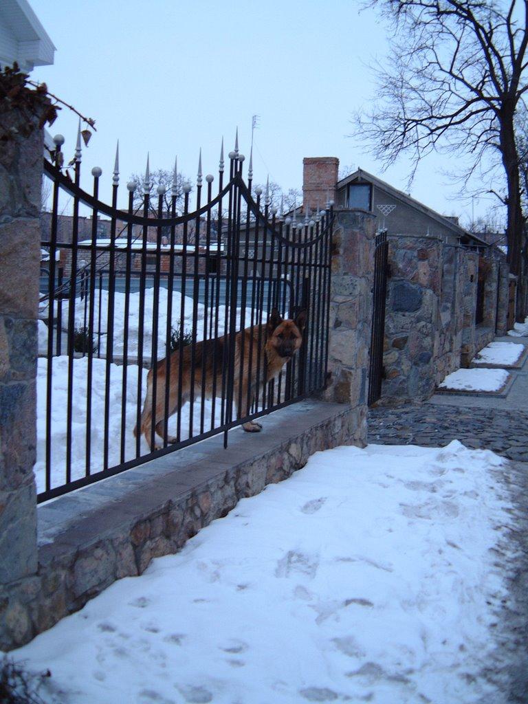 Олександрія з panoramio.com (ч.3) - Olexandria