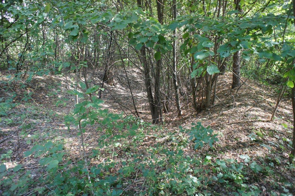 Корсині з panoramio.com - Корсині