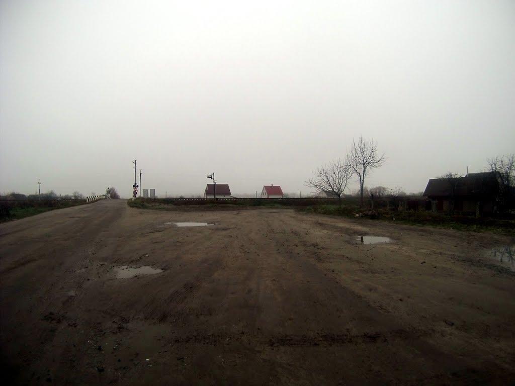 Новоград-Волинський з panoramio.com (ч.3) - Новоград-Волинський