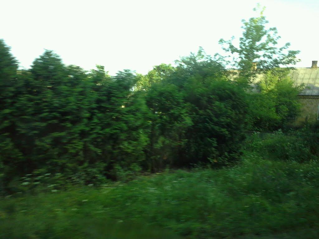 Злазне з panoramio.com - Злазне