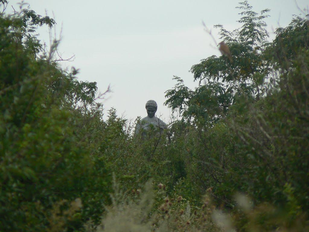 Старомлинівка з panoramio.com - Старомлинівка