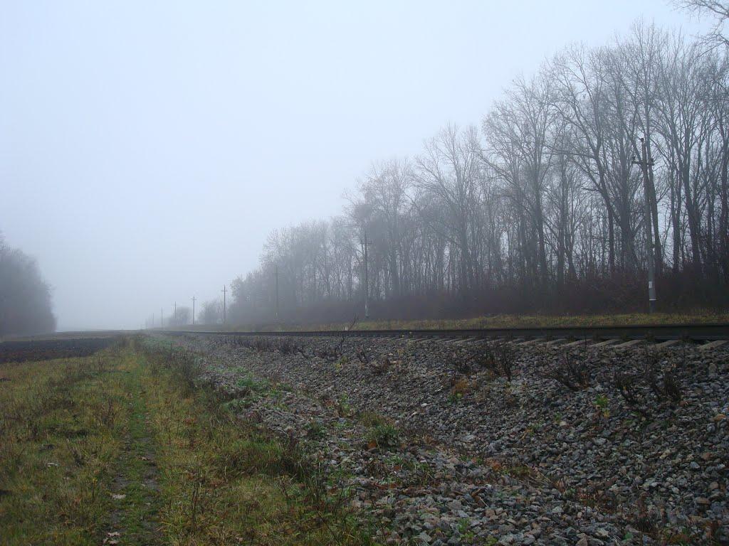 Томашівка з panoramio.com - Томашівка