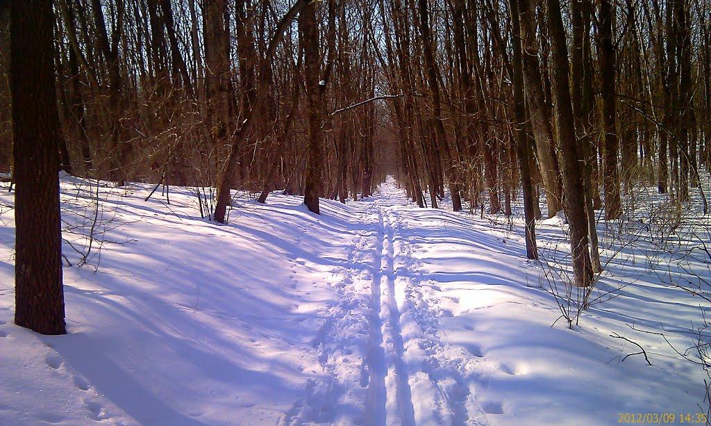Оникієве з panoramio.com - Оникієве