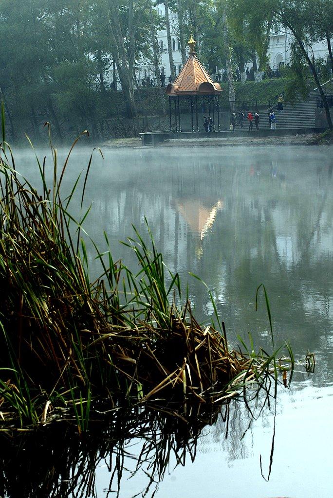 Святогірськ з panoramio.com - Святогорск