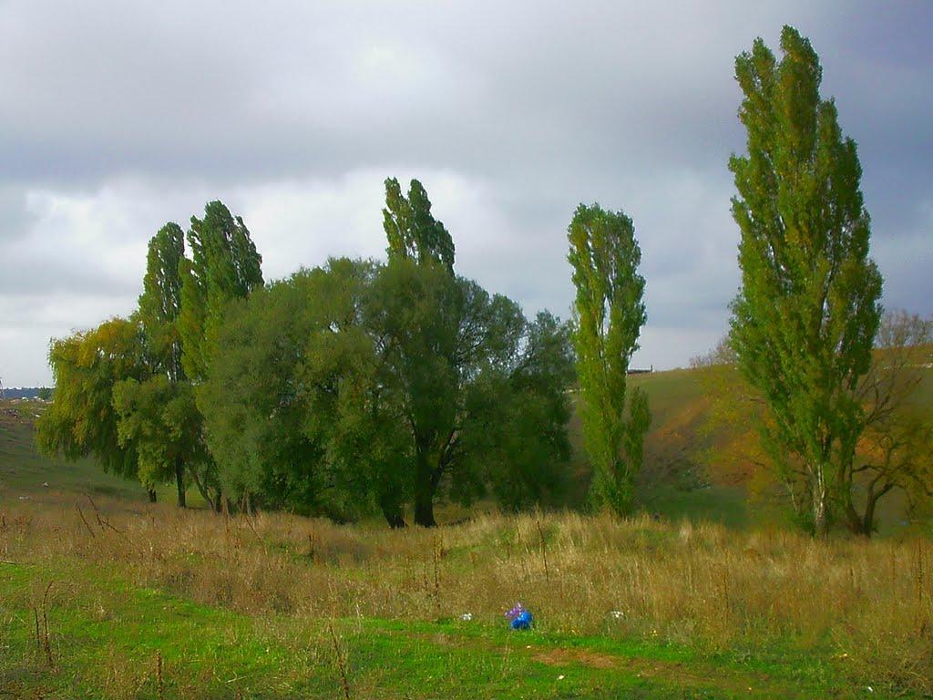 Трудове з panoramio.com - Трудове