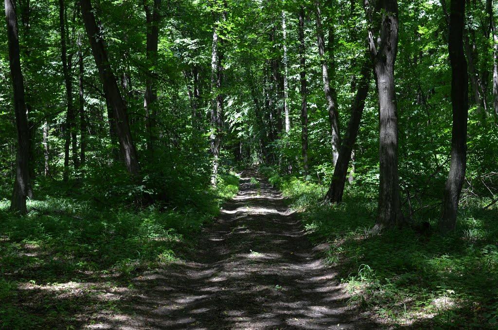 Олещин з panoramio.com - Олещин