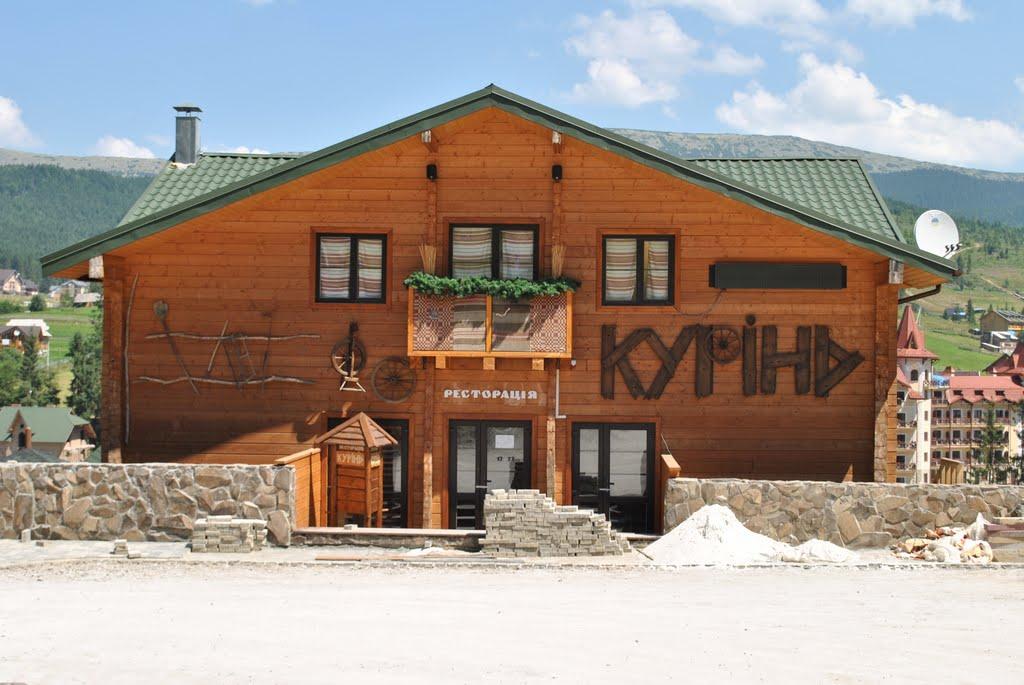 Паляниця з panoramio.com (ч.4) - Palyanytsya