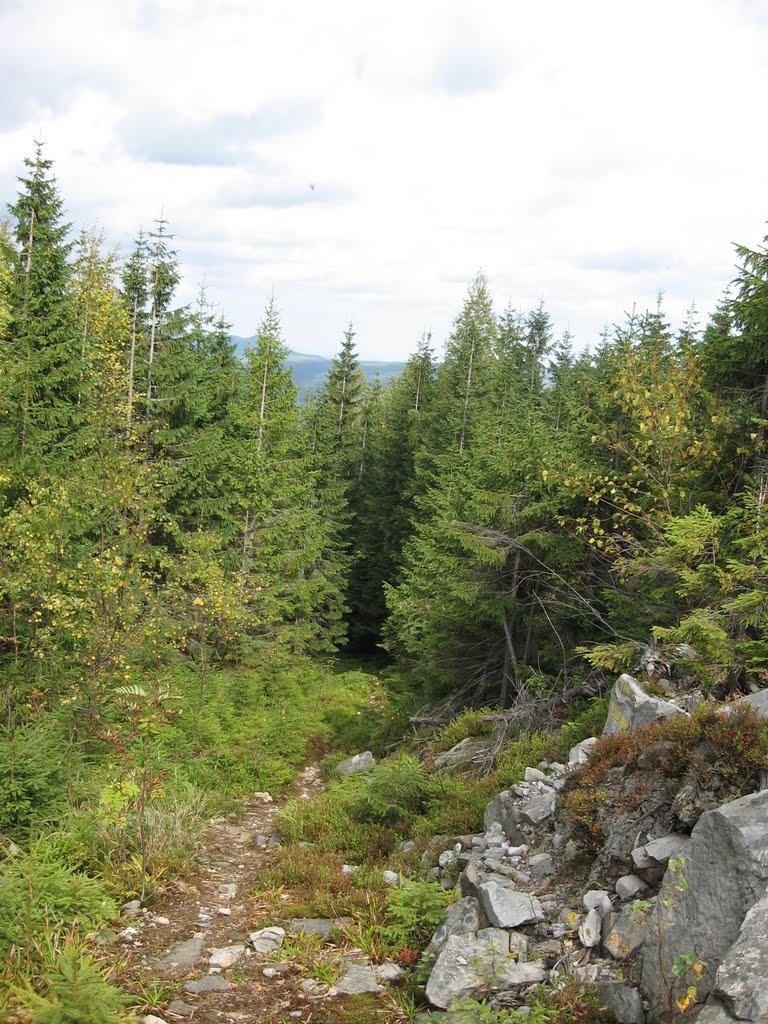 Мислівка з panoramio.com - Мислівка