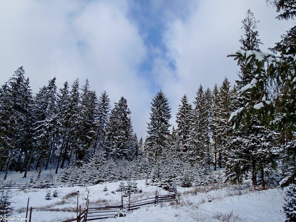 Паляниця з panoramio.com (ч.4) - Palyanytsya