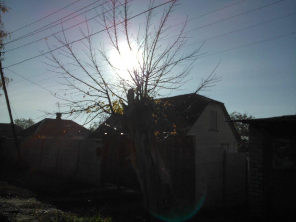 Покотилівка з panoramio.com - Покотилівка