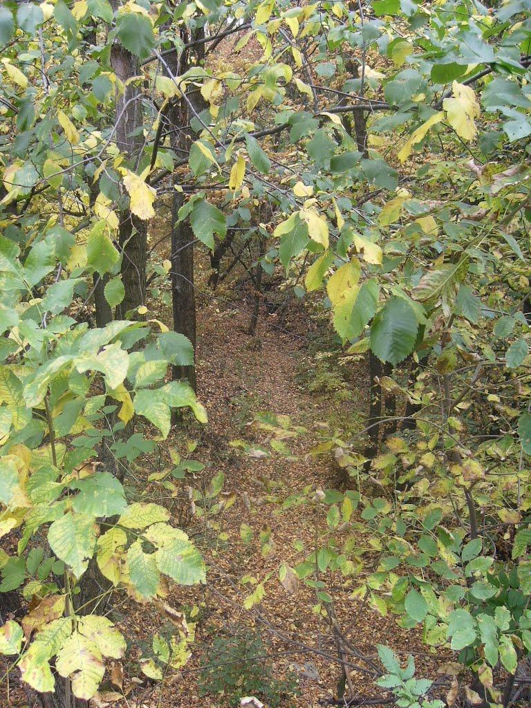 Лисичанськ з panoramio.com (ч.3) - Lysychansk