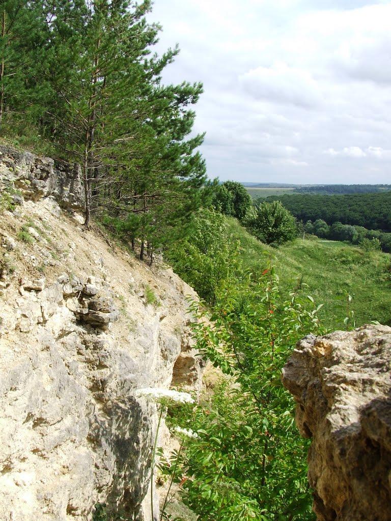 Гумниська з panoramio.com - Gumnyska